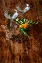 Cocktails and botanicals Royalty Free Stock Photo