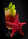 Cocktails Collection - Mai Tai (black with star)
