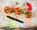 Cocktails made of tomatoes, vodka, ice, lime, pepper , salt and snack with celery and black olives on rustic background . Royalty Free Stock Photo