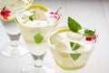 Cocktails with mint and ice on a white background/cocktails with mint, lemon and ice on a white background. selective focus