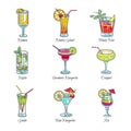 Cocktails in glasses exotic drinks vector sketch