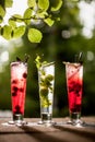 Cocktales lemonades on stone terrace on leaf background bokeh spring summer