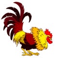 Cocky black red rooster on white Royalty Free Stock Photo