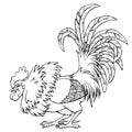 Cocky rooster lack contour on white Royalty Free Stock Photo