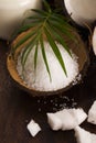 Coco bath. coconut with sea salt Royalty Free Stock Photo