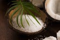 Coco bath. coconut with sea salt Royalty Free Stock Photo