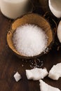 Coco bath. coconut with sea salt Royalty Free Stock Photo