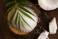 Coco bath. coconut with sea salt Royalty Free Stock Photo