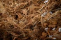 Coco husk or cocopeat and white granular fertilizer for use as fertilizer for trees and vegetable in close-up focus background