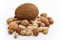 Coco and nuts Royalty Free Stock Photo