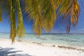 Coco palm fronds over white sandy beach Royalty Free Stock Photo