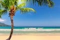 Coco palm on sandy beach and turquoise sea on Paradise Jamaica island. Royalty Free Stock Photo