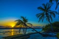 Coco palm at sunset over tropical beach in Caribbean sea. Vintage processed. Royalty Free Stock Photo