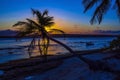 Coco palm at sunset over tropical beach in Caribbean sea. Vintage processed. Royalty Free Stock Photo