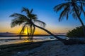 Coco palm at sunset over tropical beach in Caribbean sea. Vintage processed. Royalty Free Stock Photo