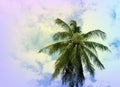 Coco palm tree crown on cloudy sky. Tropical nature vintage toned photo. Royalty Free Stock Photo