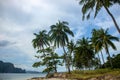 Coco palm tree on tropical island landscape. Idyllic seaside landscape with green palm. Relaxing view of exotic seashore Royalty Free Stock Photo