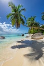 Coco palms in tropical beach in Seychelles island Royalty Free Stock Photo