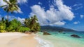 Exotic Sunny beach and coconut palms on Beau Vallon beach, Seychelles. Royalty Free Stock Photo