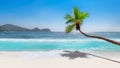 Coco palms over tropical beach and turquoise sea Royalty Free Stock Photo