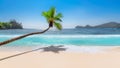 Coconut palm over tropical beach and turquoise seanut Royalty Free Stock Photo