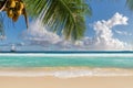 Beautiful  beach witth Coco palm Royalty Free Stock Photo
