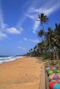Coco palms at a sand beach between Bossa and Galle Royalty Free Stock Photo