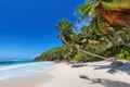 Coco palms on tropical beach and blue ocean in Caribbean island. Royalty Free Stock Photo