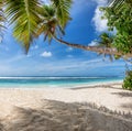 Coco palms on tropical beach and blue ocean in Caribbean island. Royalty Free Stock Photo