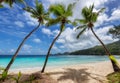 Coco palms on tropical beach and blue ocean in Caribbean island. Royalty Free Stock Photo