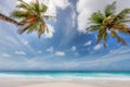 Coco palms in tropical beach Royalty Free Stock Photo