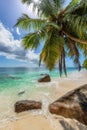 Coco palms in tropical beach in Seychelles island Royalty Free Stock Photo