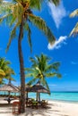 Coco palms in tropical beach and umbrellas in white sand in Mauritius island. Royalty Free Stock Photo