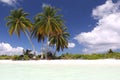 Coco palms on the white sandy beach Royalty Free Stock Photo