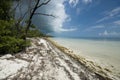 Coco plum beach florida keys Royalty Free Stock Photo