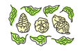 Cocoa abstract fresh set. Vector art line symbol