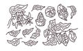Cocoa abstract set. Vector art line symbol