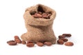 Cocoa bean Royalty Free Stock Photo