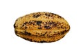 Yellow ripe cocoa pod isolated on white background.