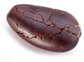 Cocoa bean Royalty Free Stock Photo