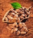 Cocoa Beans