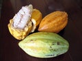 Cocoa beans Royalty Free Stock Photo