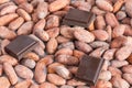 Cocoa beans and chocolate pieces