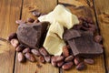 Cocoa beans, cocoa butter and cocoa mass Royalty Free Stock Photo