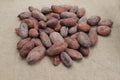 Cocoa beans. Cacao beans on a burlap background.