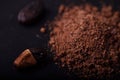 Cocoa beans and cacao powder on dark background Royalty Free Stock Photo