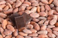 Cocoa beans and chocolate pieces