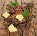 Cocoa beans, cocoa butter and cocoa mass Royalty Free Stock Photo