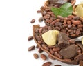 Cocoa beans, cocoa butter and cocoa mass Royalty Free Stock Photo