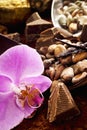 Cocoa beans, cocoa fruit, chocolate, orchidee blossom Royalty Free Stock Photo